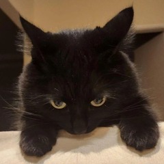 Nikolai