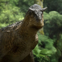 Carnotaurus
