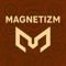 Magnetizm