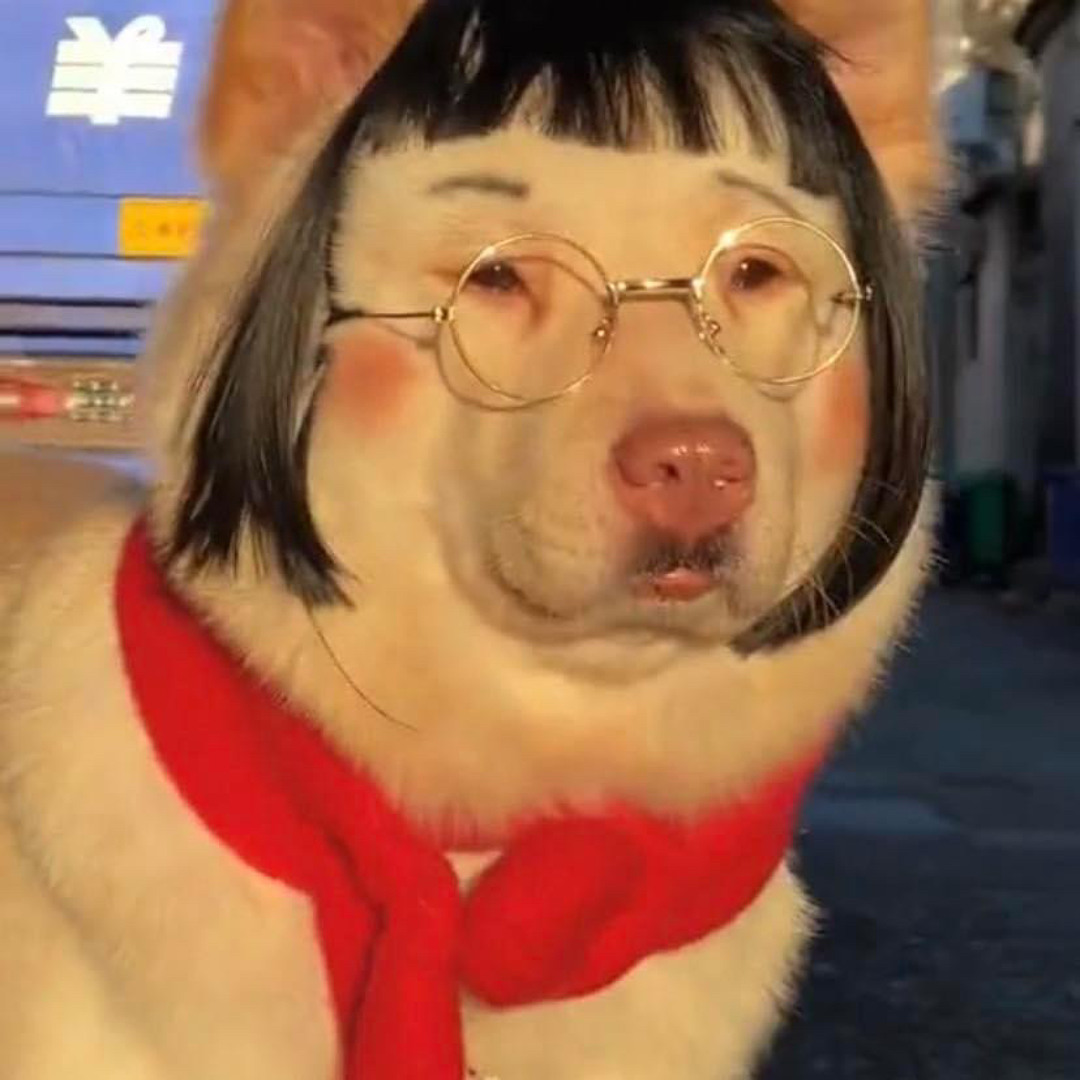 Stream mypilotis マイピロティ music | Listen to songs, albums