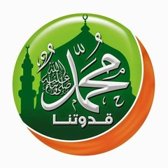 Mohamed Elsehrawy