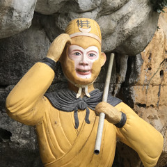 Minh Meo Meo