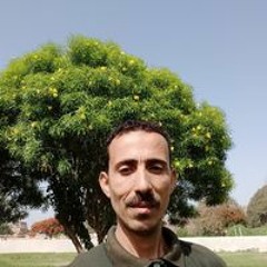 محمد عمرو الرفاعي