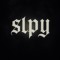 SLPYVault