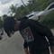 dc.yungcris