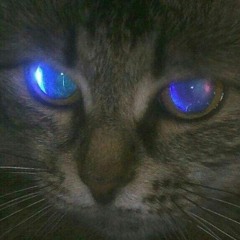 choco
