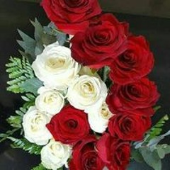 Wajid Alikhan
