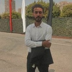 Hassan H. Nageb