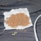 smokingblah
