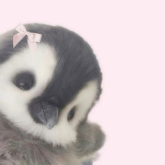 ʕ •̥ ˕ ก ʔ