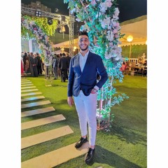 Youssef Emad Ali