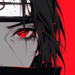 FREED ELECTRO AKATSUKI⚡