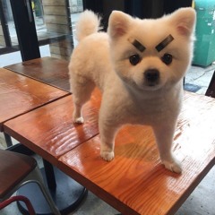 음악은유일한마약