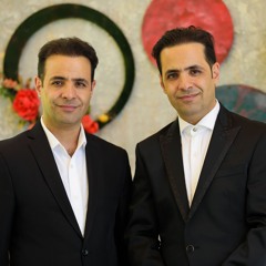 saeidi brothers