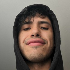 Sebastian Torres