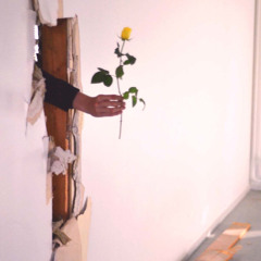 Everything كُل شيء