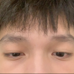 xmpl