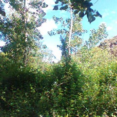 x𝔛𝖅e⃣ ﾶ6.1.3