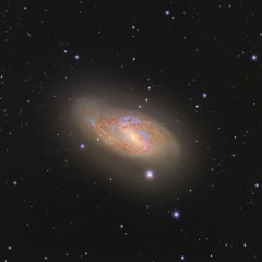 M66