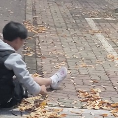 수원둘리
