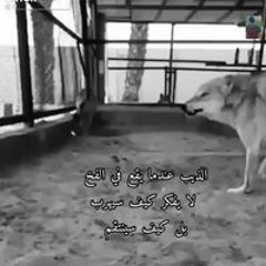 عبدالله صلاح