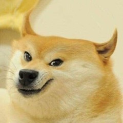 DogeBish