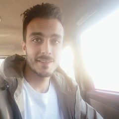 Mohamed Aboelftouh Elkalyopy