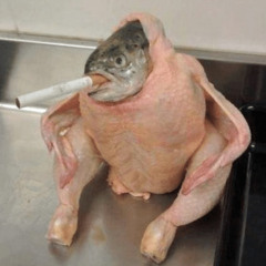 vis met peuksje