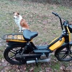 Human Force - Broken wings (Chris Laser remix)