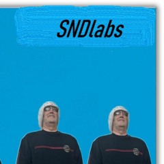 SNDlabs
