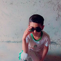 maham z