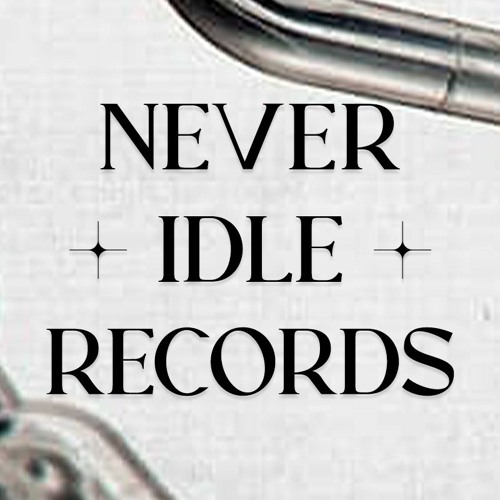 Never Idle Records’s avatar