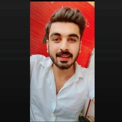 haseeb raja