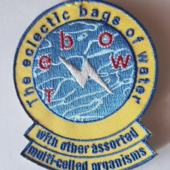 The eclectic bags of water