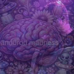 Winnie The Pooh Beat