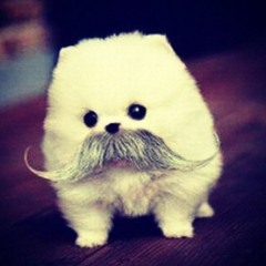 kaJluk=)