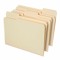 Manila Folder, Ph.D.
