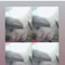 Feby Ard