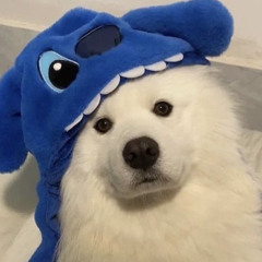 ガガゼゲ