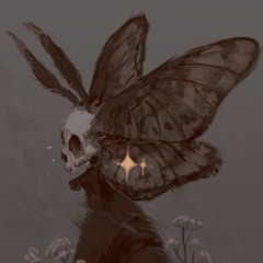 mxxn.child