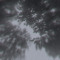 PSYFLY