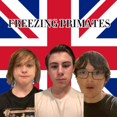 Freezing Primates