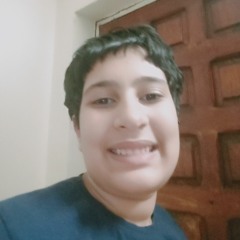 Anas Mahmoud