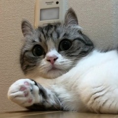 M0nday