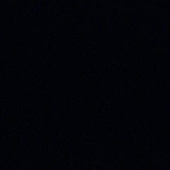 nigger