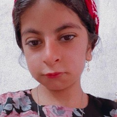 Haneen Amer