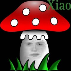 ＸＩＡＯＧＯＭＮＩＫ