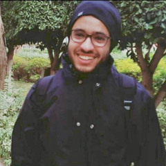 Mohamed Kamal