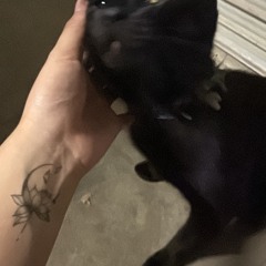 財布に500円玉あったらラッキー