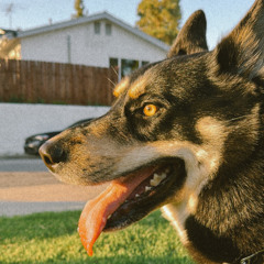 billly